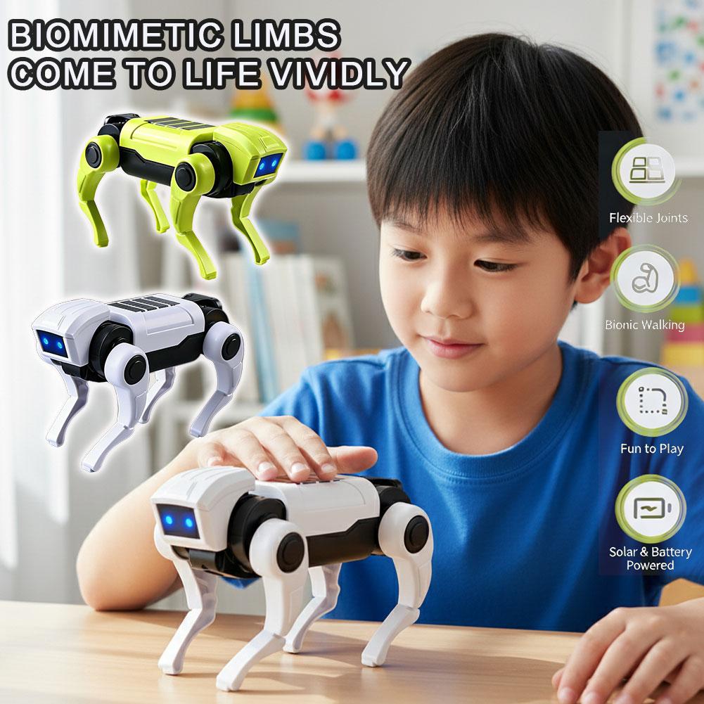1/2 Pezzi Robot Telecomandato  - Science Diy Model recensione e prezzo